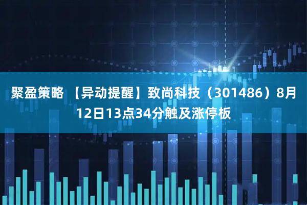 聚盈策略 【异动提醒】致尚科技（301486）8月12日13点34分触及涨停板