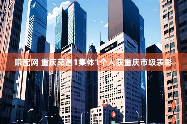 赚配网 重庆荣昌1集体1个人获重庆市级表彰